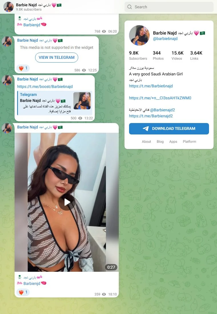 Voorbeeld van het Telegram-kanaal Barbie Najd