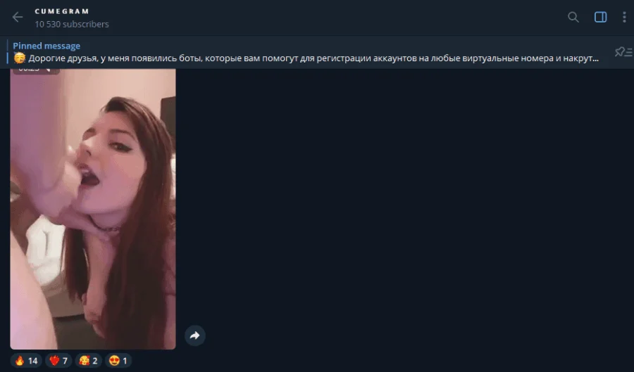 Voorbeeld van het Telegram-kanaal Cumegram