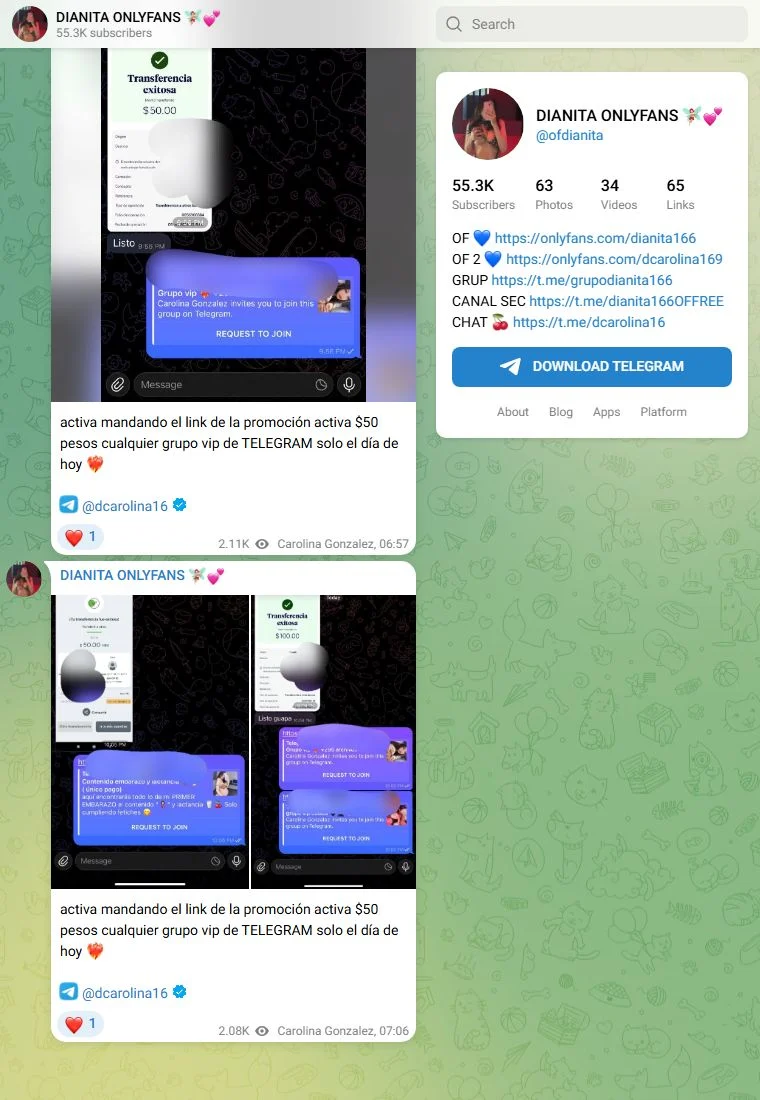 Voorbeeld van het Telegram-kanaal Dianita