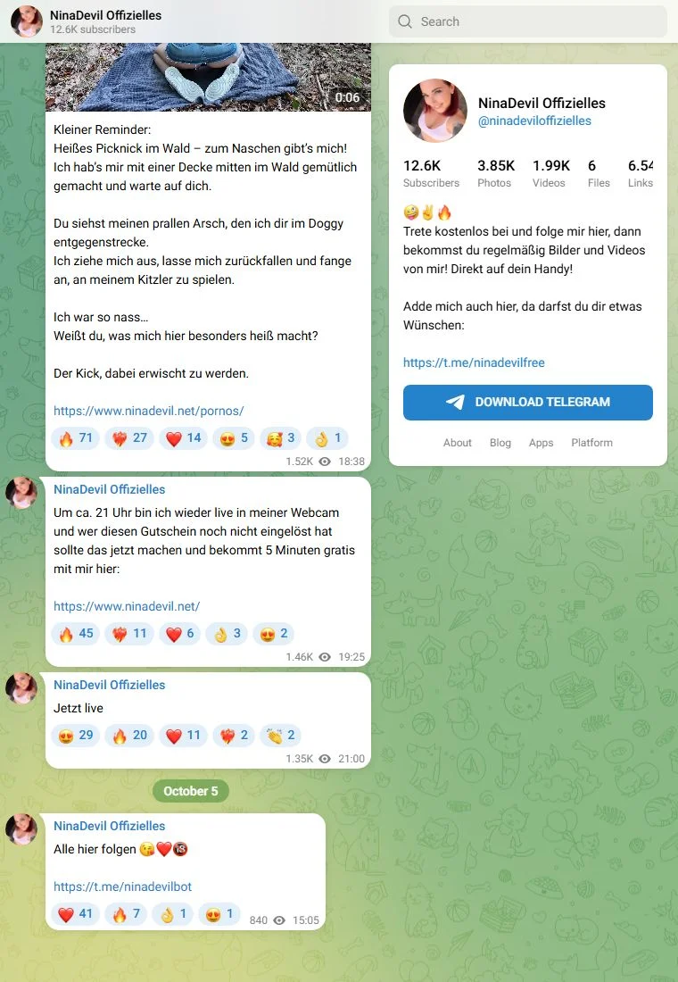 Voorbeeld van het Telegram-kanaal NinaDevil