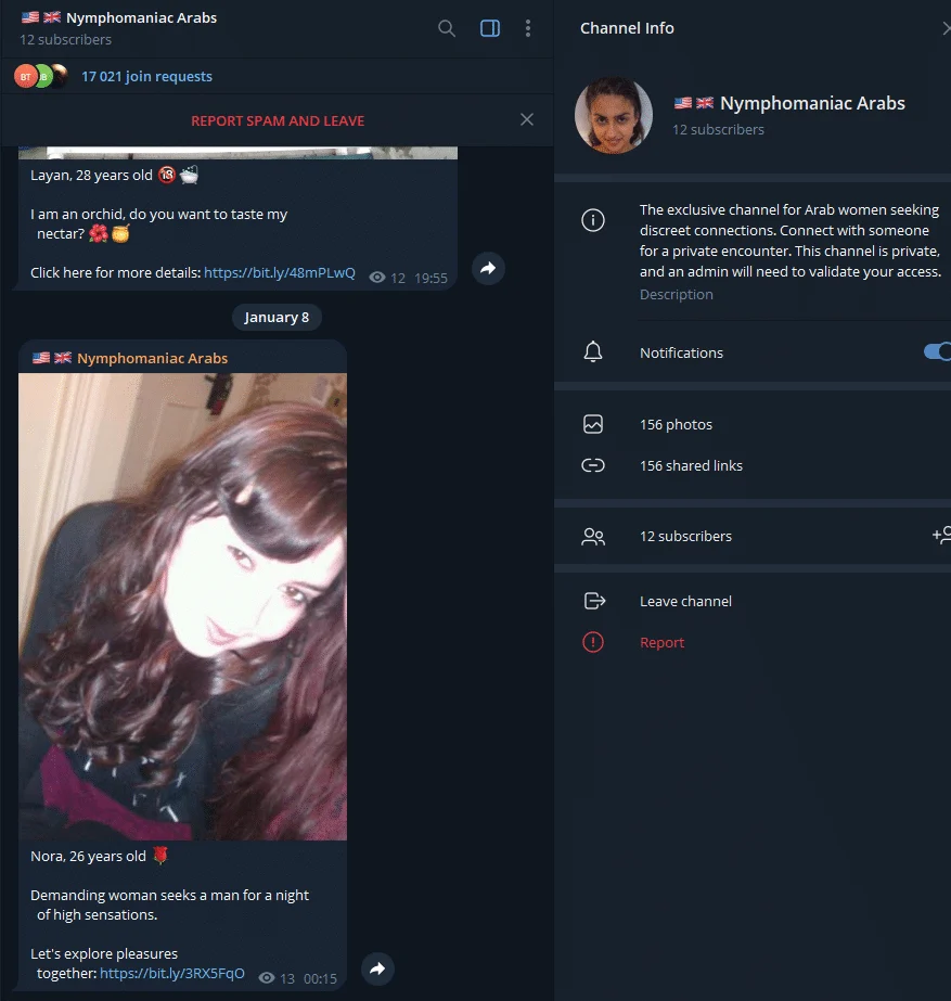 Voorbeeld van het Telegram-kanaal Nymfomane Arabische vrouwen