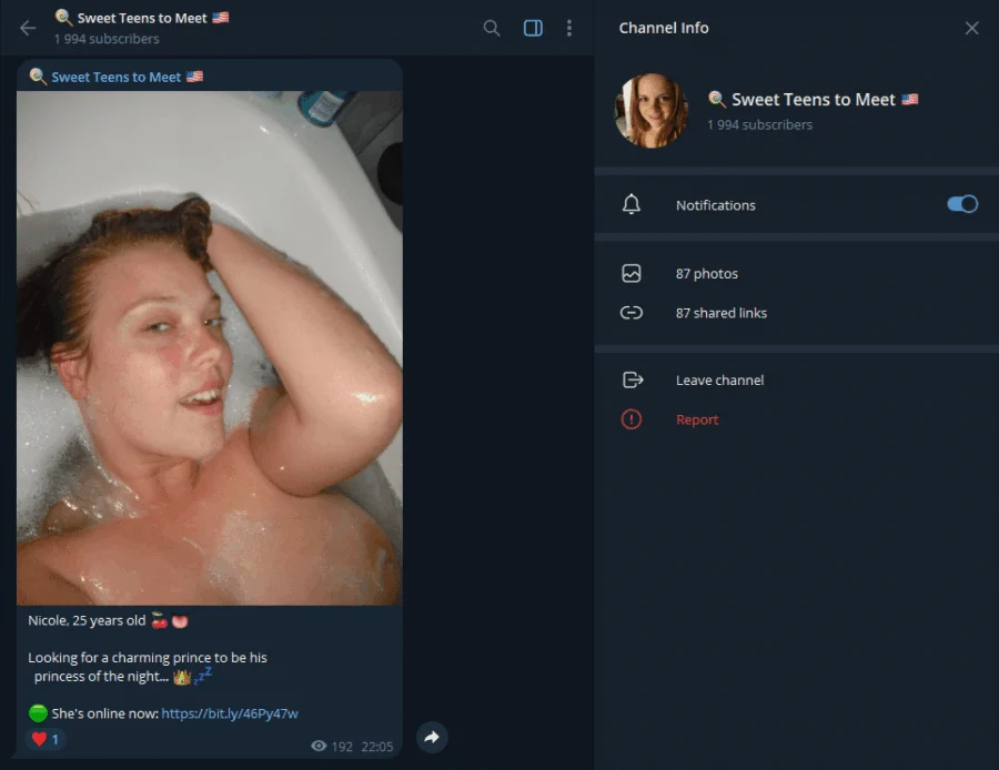 Voorbeeld van de Telegram-groep Sweet Teens om te ontmoeten