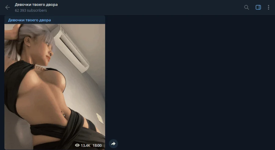 Voorbeeld van het Telegram-kanaal Telegram Nude