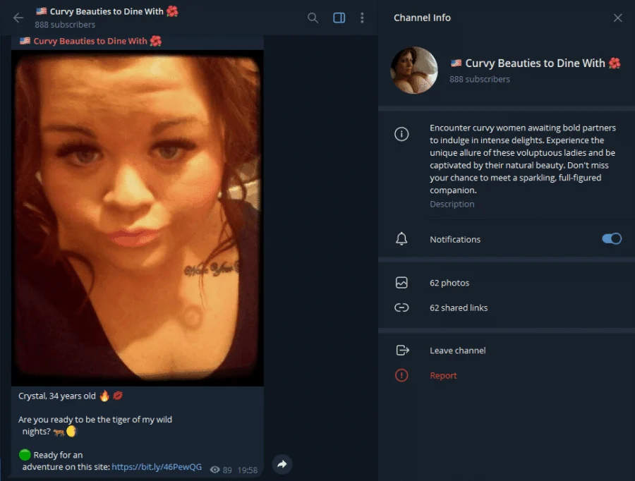 Voorbeeld van de Telegram-groep Volslanke vrouwen voor een etentje