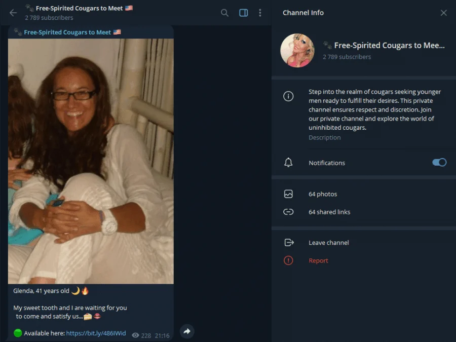 Voorbeeld van de Telegram-groep Vrijgevochten cougars om te ontmoeten